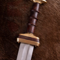 Espada Sajona - Imagen 3